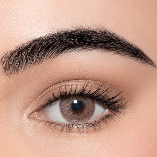 لينس مي عدسات كورتادو