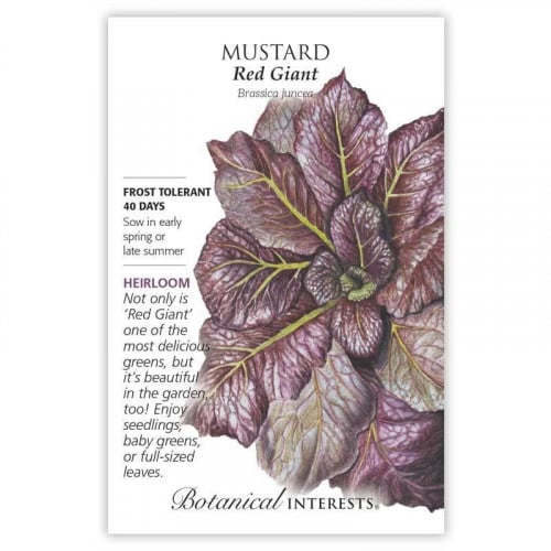 بذور خردل أحمر عملاق - Red Giant Mustard Seeds