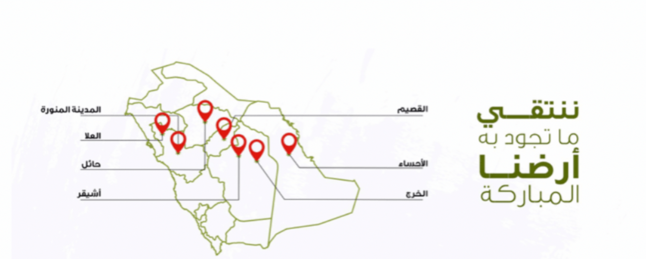 تمور الرحيمي image-slider-2