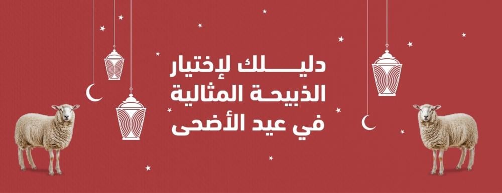 دليل اختيار الذبيحة المثالية في عيد الأضحى من صفوة الحلال