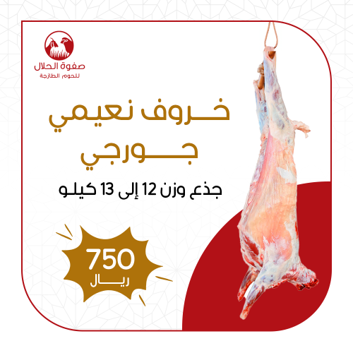 خروف نعيمي جورجي جذع ( 12 -13 ك)