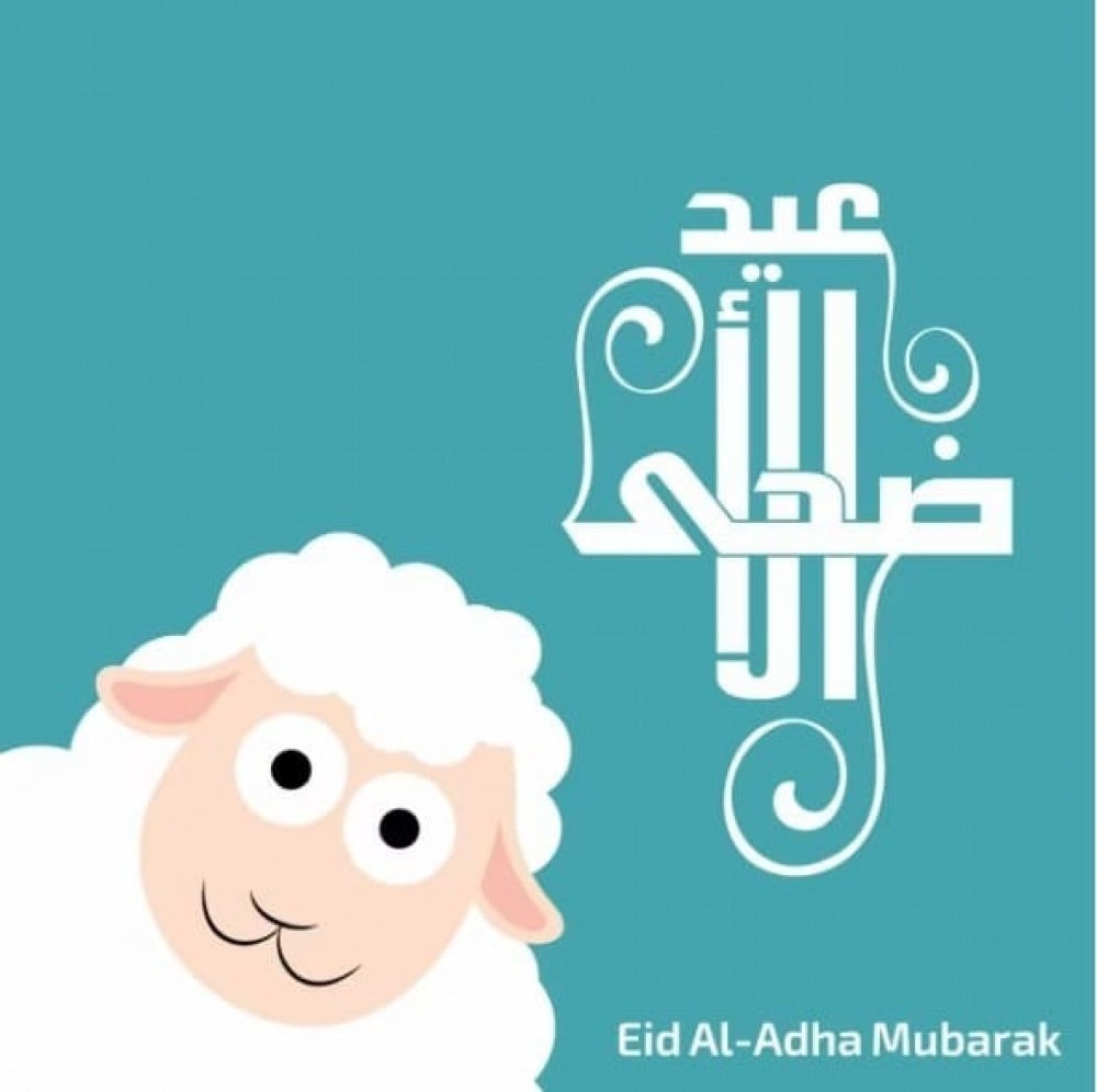 أفضل أنواع الأضاحي في عيد الأضحى واسعارها بالرياض