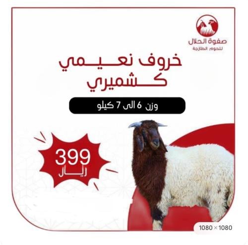 نعيمي كشميري هرفي (6 -7 ك) + لحم مفروم هدية