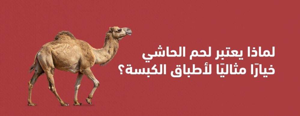 لماذا يعتبر لحم الحاشي خيارًا مثاليًا لأطباق الكبسة؟