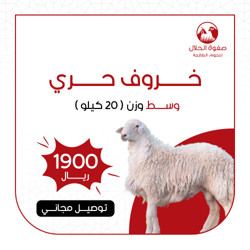 ذبيحة حري هرفي وسط (20ك)