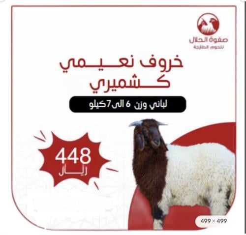 نعيمي كشميري لباني (6 -7 ك)