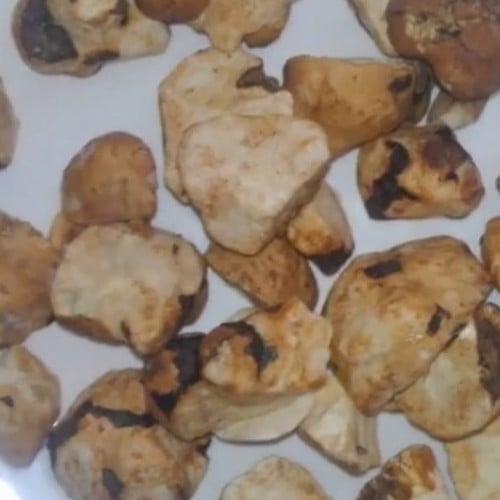 البكبوكة حبات تالغودة المغريبة للتسمين -ك