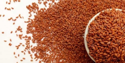 حب الرشاد
