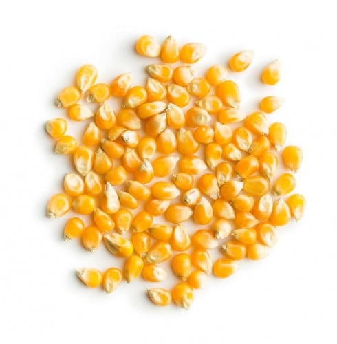 فشار امريكي 500ج