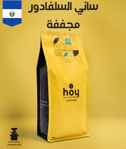 ساني - سلقادور