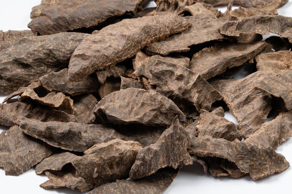 عود تشار نخبة