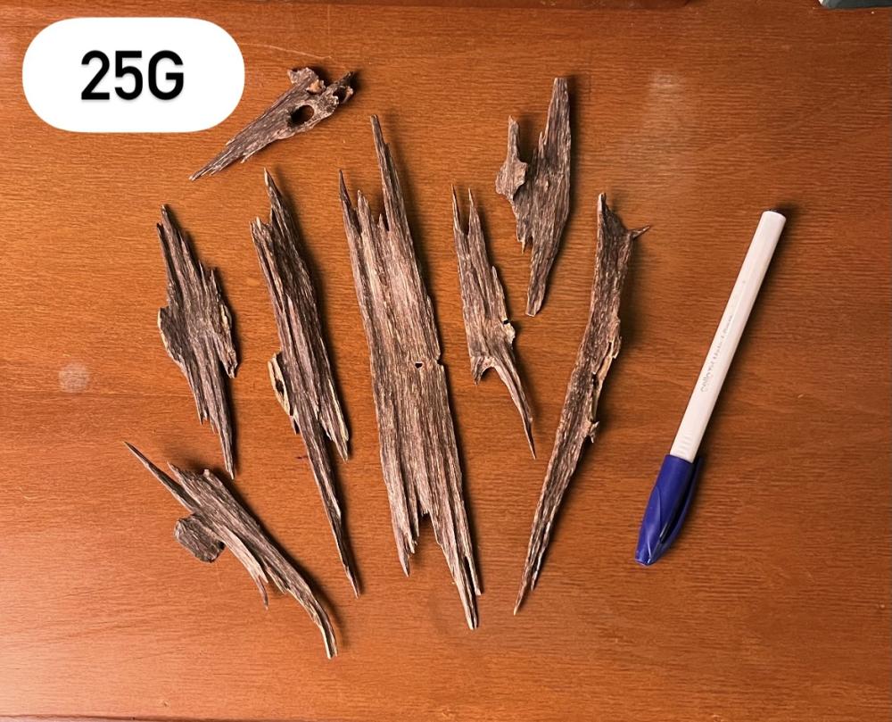 هندي النخبة