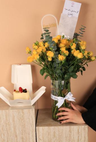 سنشاينز