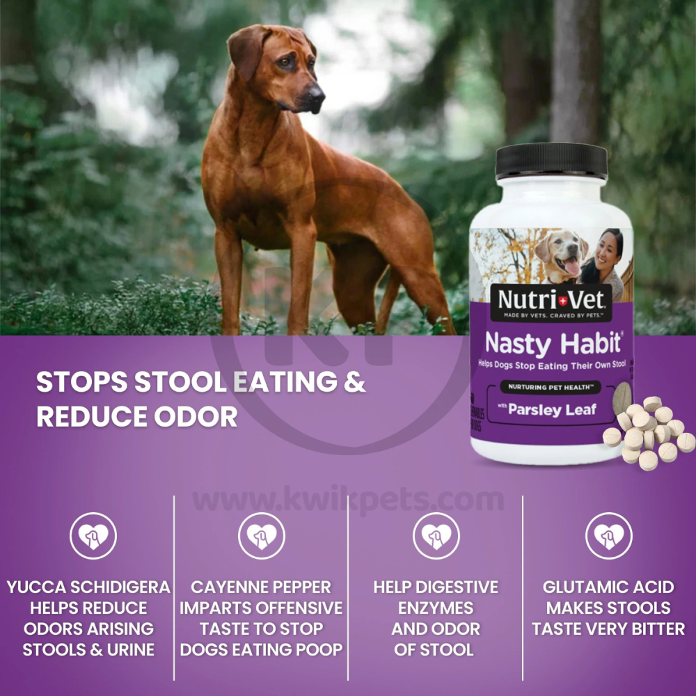 Dog poop deterrent pills 60 tablets Lana Pets Store