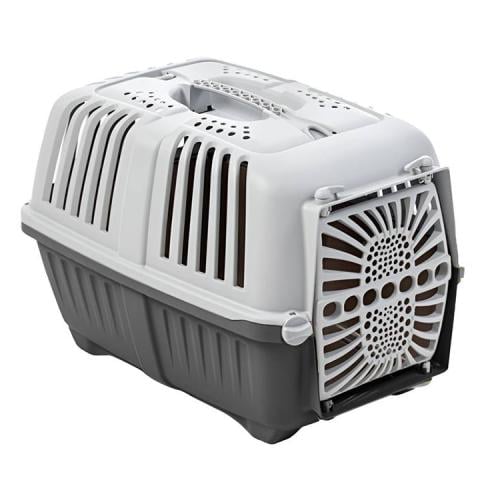Reizen & Transport met Honden – Veilig, Comfortabel & Verantwoord