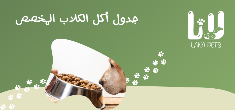 Dog Feeding Schedule and a Comprehensive Guide to Healthy and Balanced Nutrition
