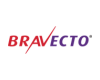 Brav Ecto