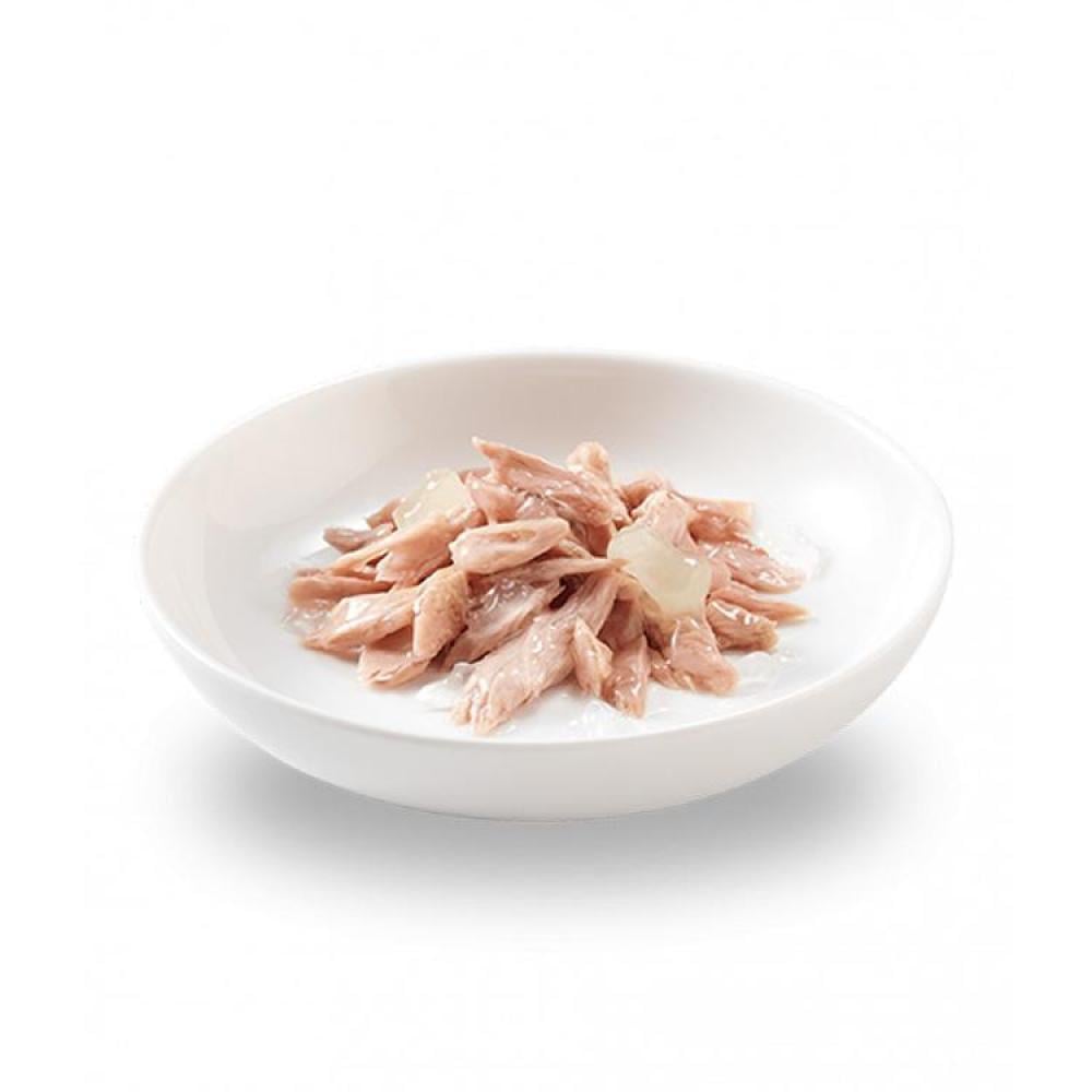 كرتون شيزر طعام رطب معلبات التونة بالصبار للقطط الصغيرة الكيتن 14 علبة