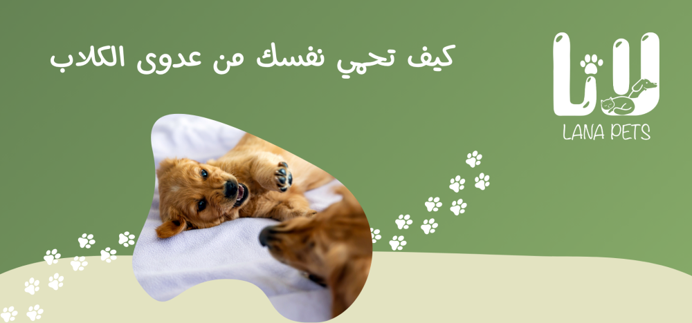 How to protect yourself and your pet from rabies?