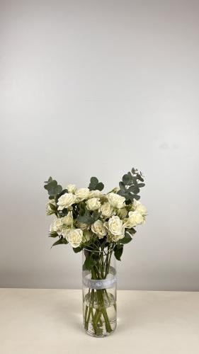 فازة شِفاء