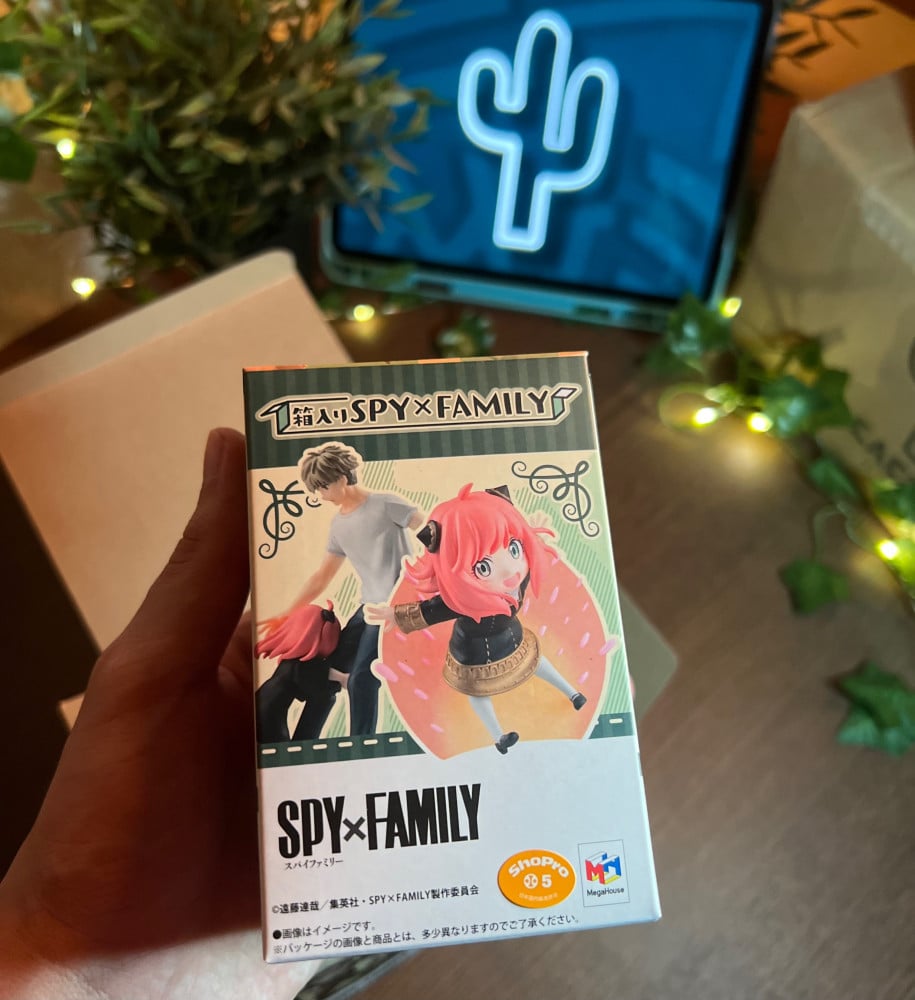 صندوق مجموعة سباي أكس فاميلي BOX SPY X FAMILY