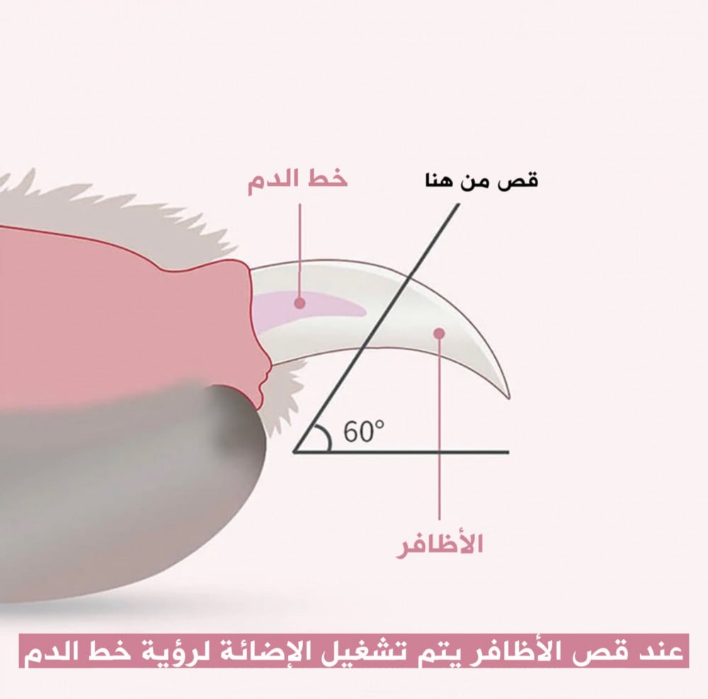مقص اظافر مع إضائة LED للقطط