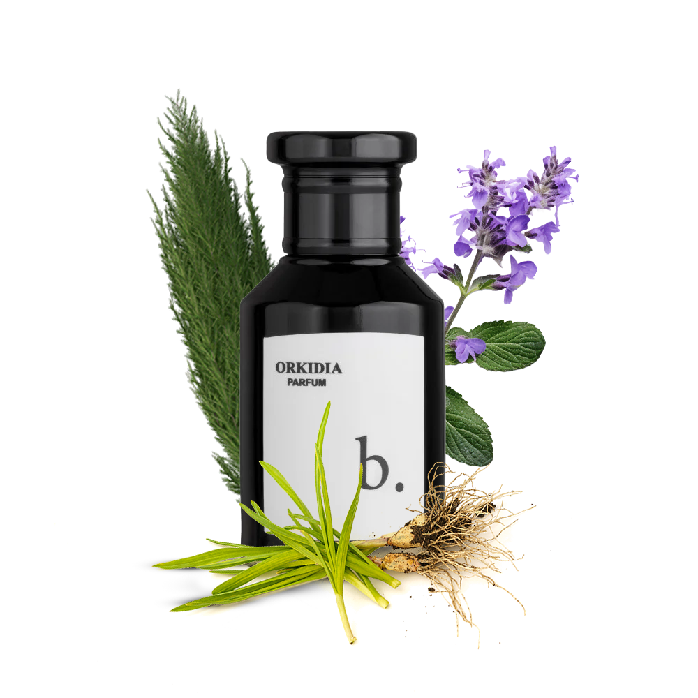 روزماري عطر اوركيديا B 50 مل