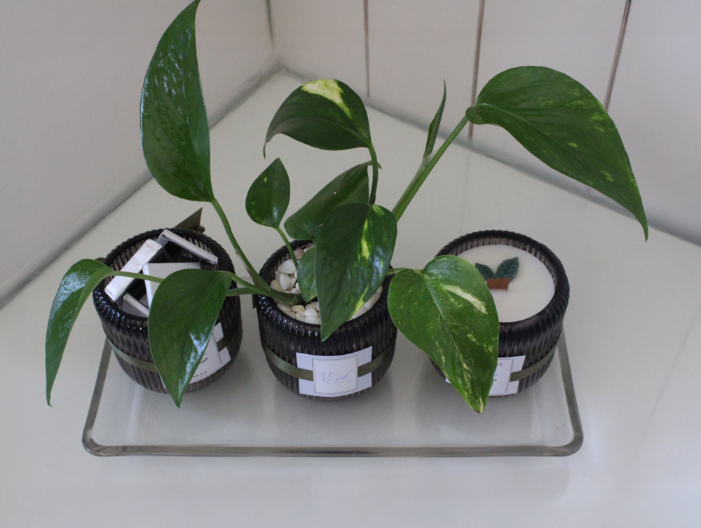 هدية سكون  ( داخل الرياض فقط )