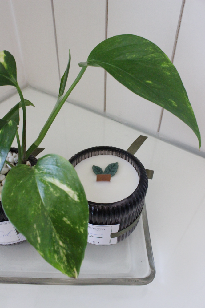 هدية سكون  ( داخل الرياض فقط )