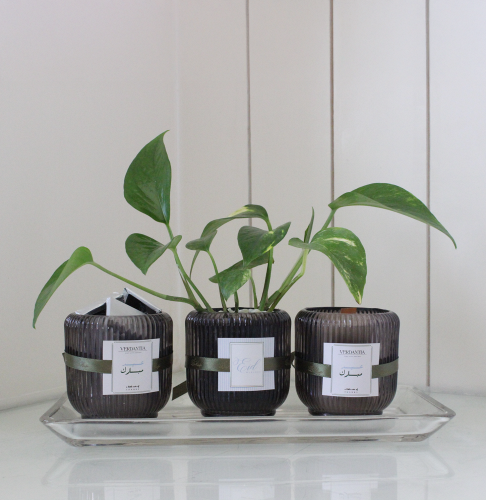 هدية سكون  ( داخل الرياض فقط )