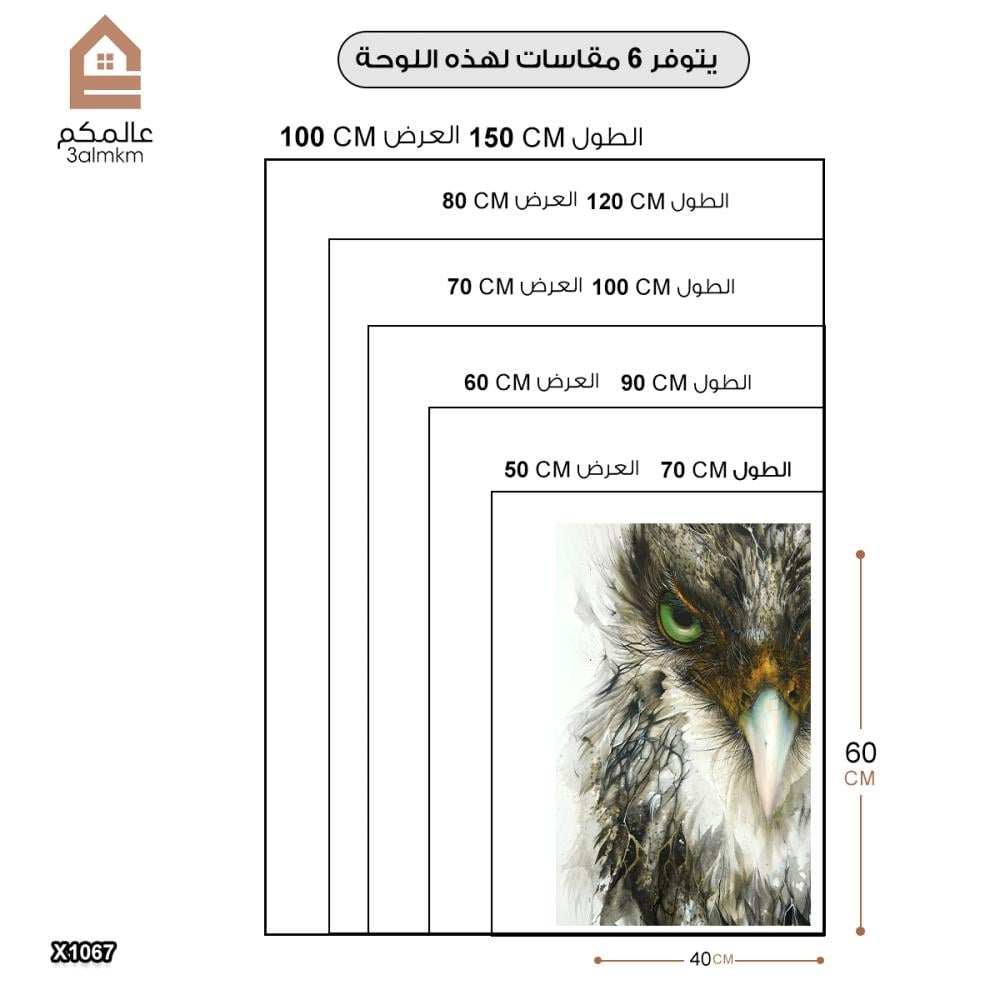 لوحة كانفس صقر رسم تجريدي