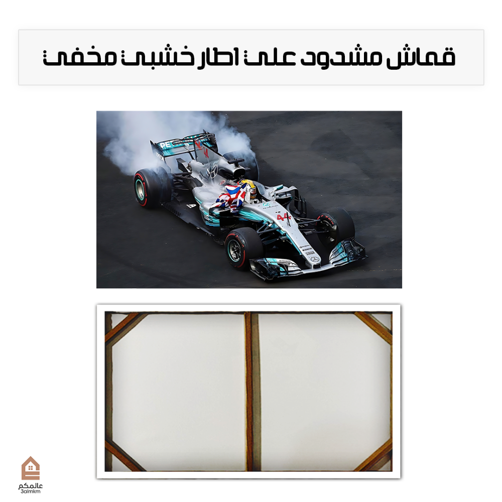 لوحة كانفاس Formula 1