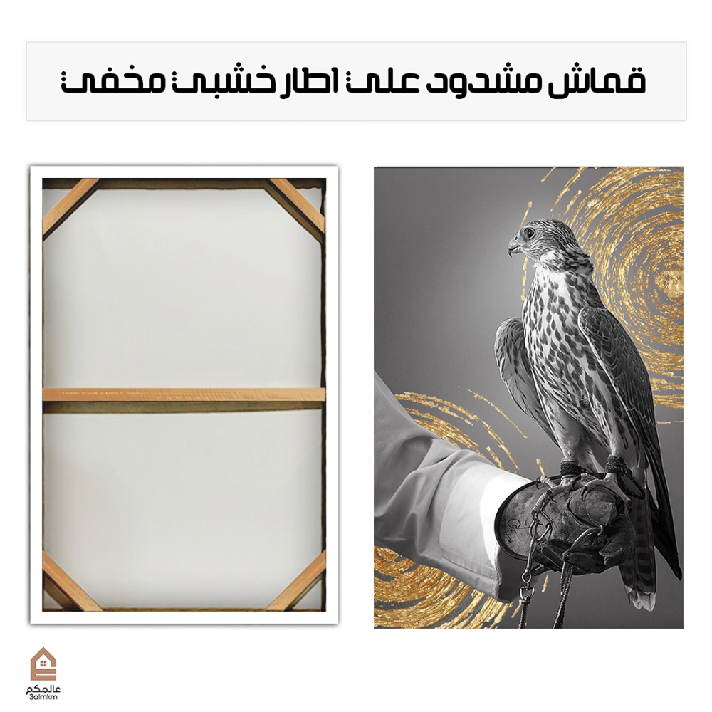 لوحة كانفس صقر بالرسم التجريدي