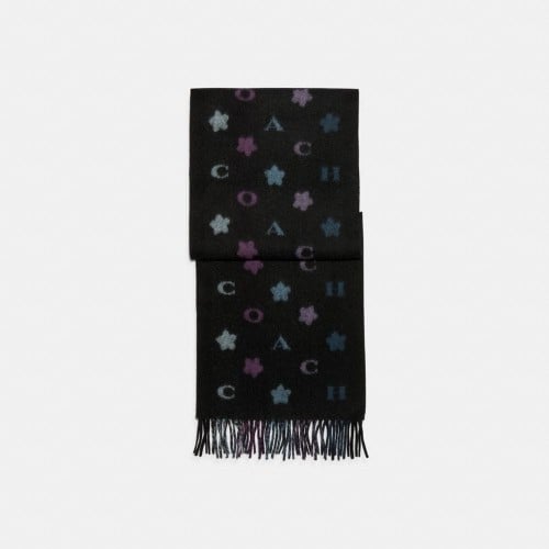 كوتش | Coach Stars Striped Print Muffler