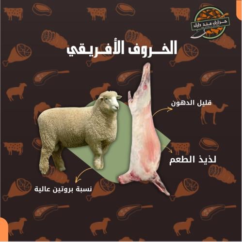 نص خروف المارينو الافريقي مستورد (14 -15 كيلو)