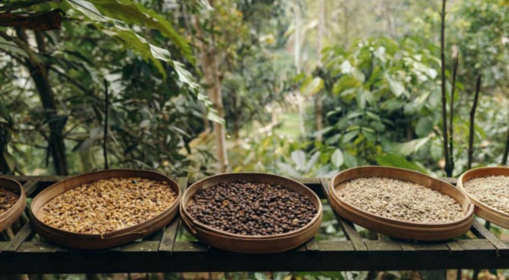 Indonesian coffee