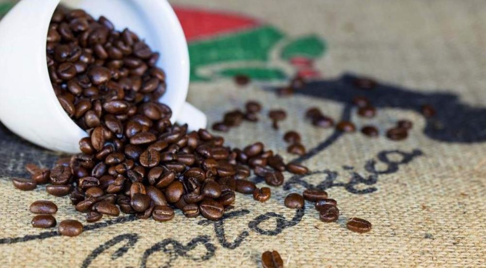 Costa-Rican-coffee