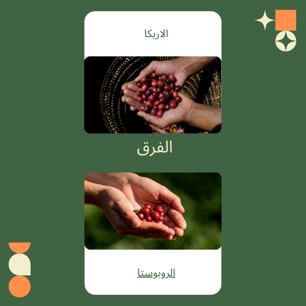 كيف تختار القهوة المثالية لك