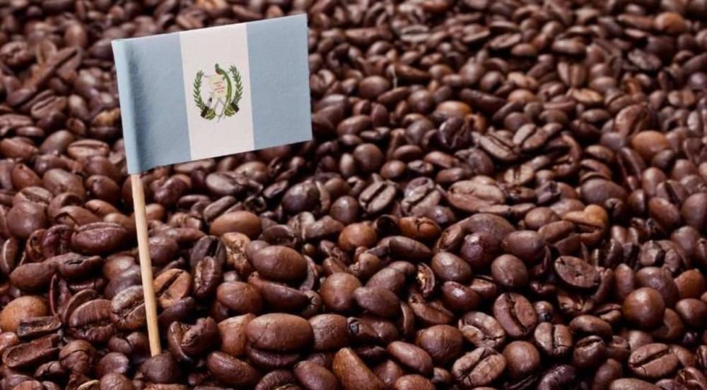 Original-Guatemalan-coffee