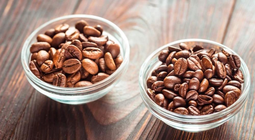 specialty-and-non-specialty-coffee