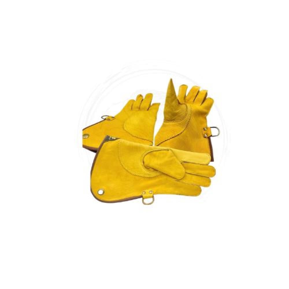 دس سبشل