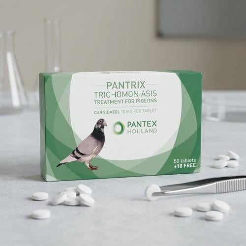 PANTRIX - القلاع