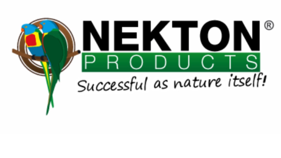 nekton nekton