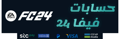 فيفا 24