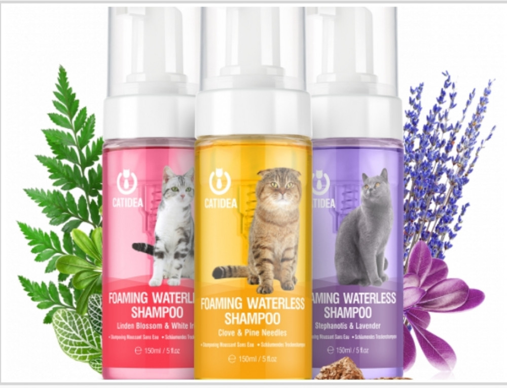 dry shampoo on cats