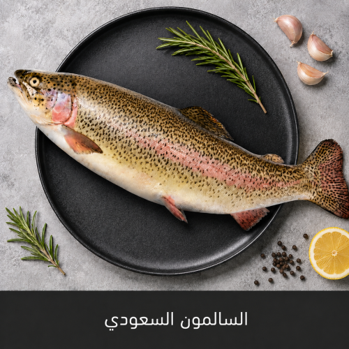 السالمون السعودي ( تراوت ) سنجاري