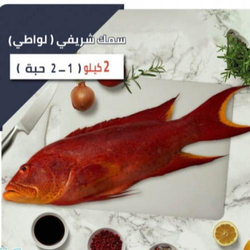 1 كيلو سمك شريفي