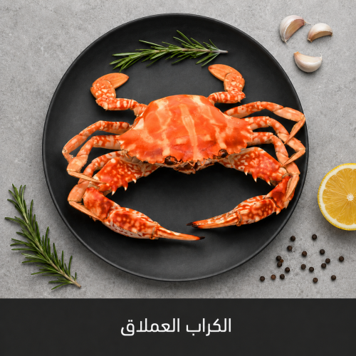 1 كيلو الكراب العملاق