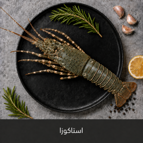1 كيلو استكوزا