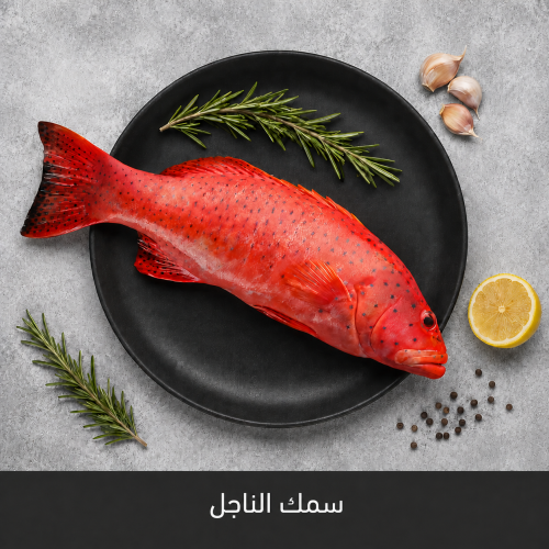 سمك الناجل الحر